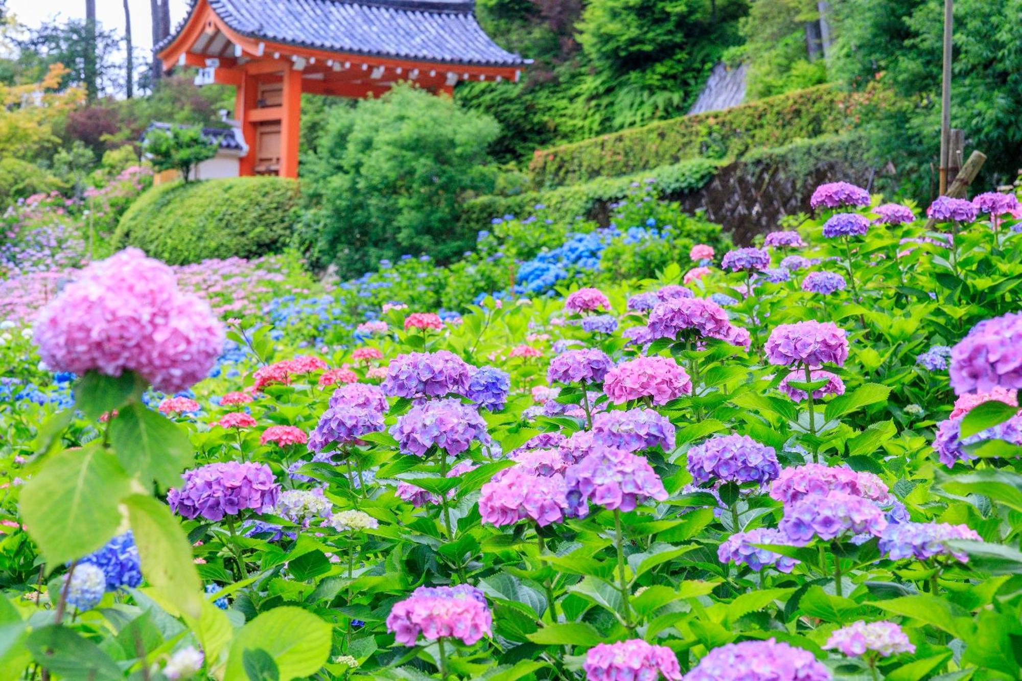 Готель Mimaru Kyoto Nishinotoin Takatsuji Екстер'єр фото