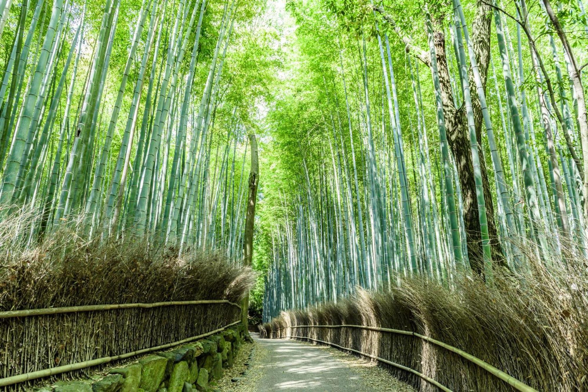 Готель Mimaru Kyoto Nishinotoin Takatsuji Екстер'єр фото